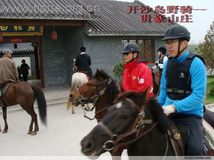[分享]开沙新景致，赛马好乐园——411长三角马友相聚南通贵豪