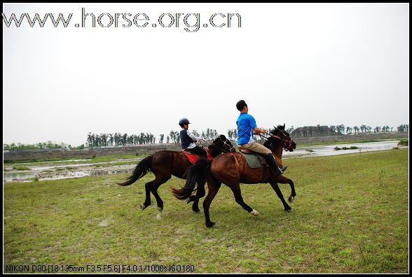 4月5号  周末我们一起骑马 野炊