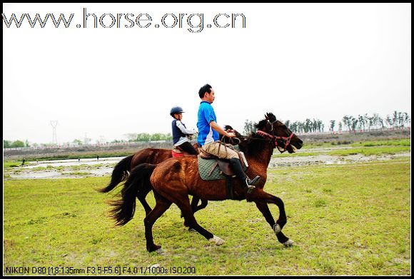4月5号  周末我们一起骑马 野炊
