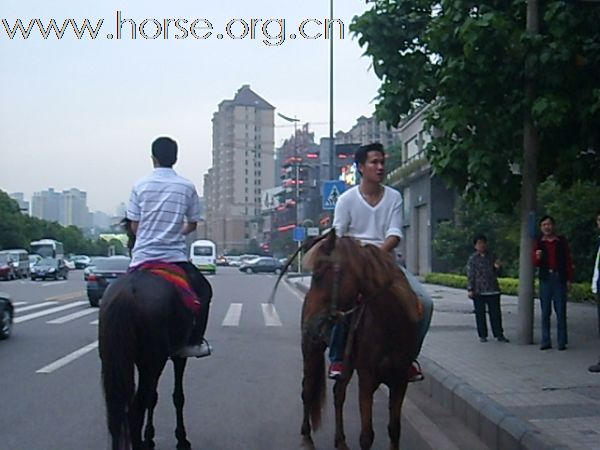 五一南滨路压马路