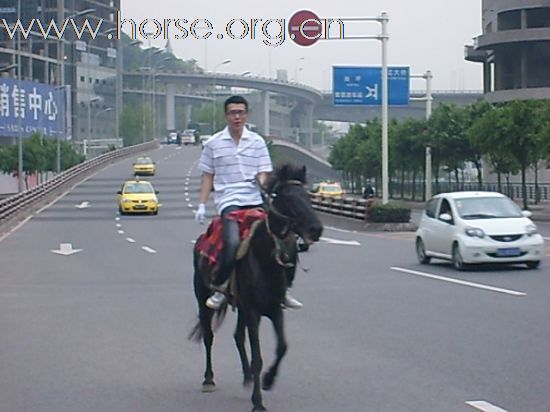 五一南滨路压马路