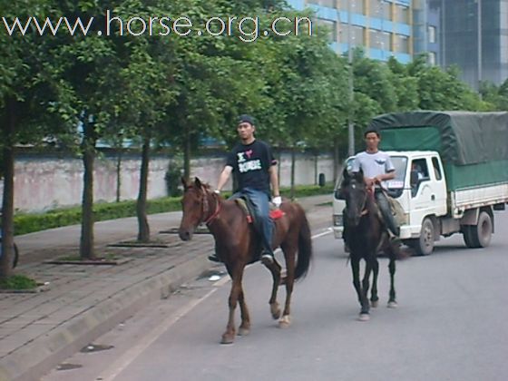 五一南滨路压马路