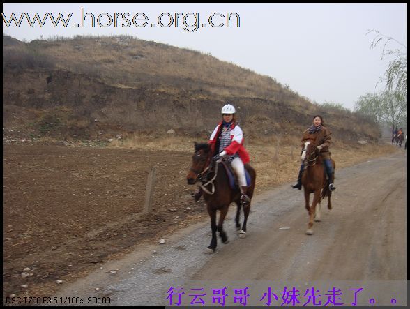 成都马友环北京官厅湖照片
