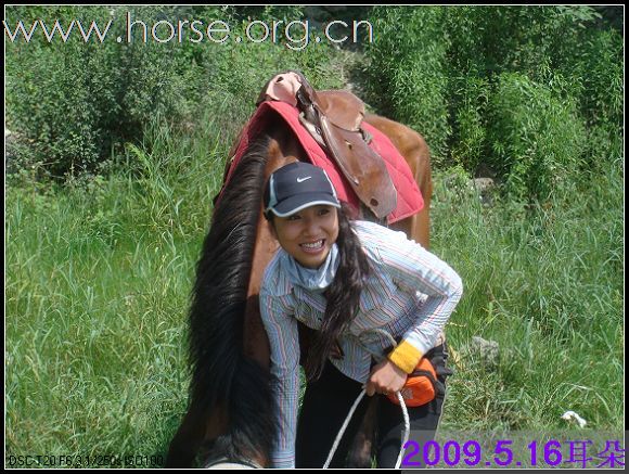 2009.5.16马帮30人骑马农家乐吃鸡