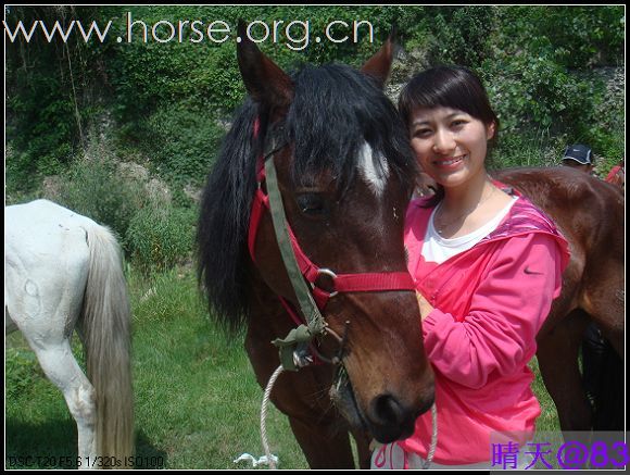 2009.5.16马帮30人骑马农家乐吃鸡