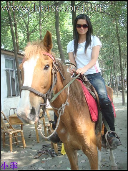 2009.5.16马帮30人骑马农家乐吃鸡