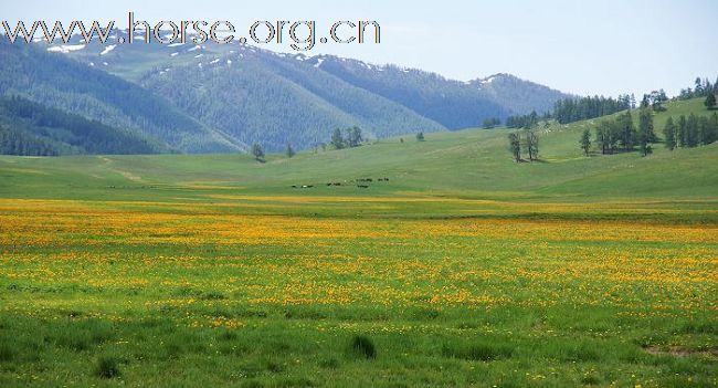 本版第一贴，占个坑，应应景 