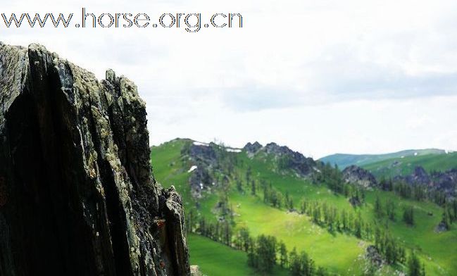 本版第一贴，占个坑，应应景 
