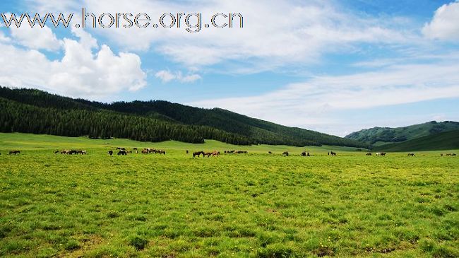 本版第一贴，占个坑，应应景 