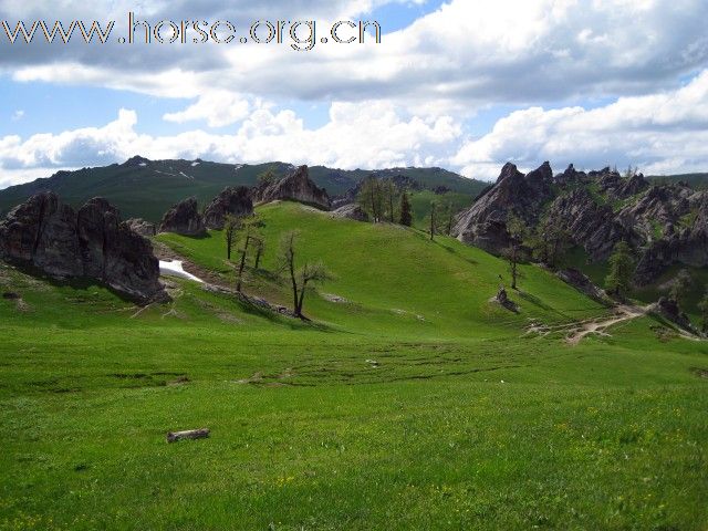 本版第一贴，占个坑，应应景 