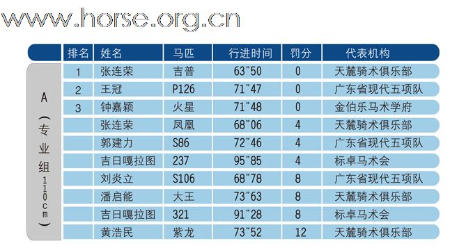2009天麓骑术场地障碍常规赛(夏季站)在风雨飘摇中,完美落幕(一)