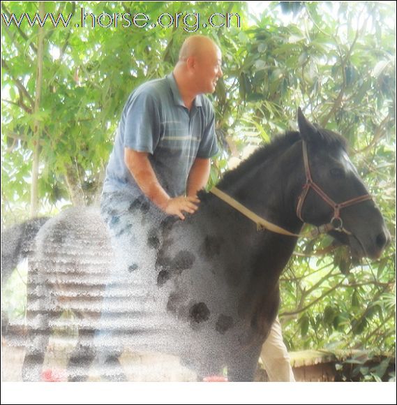 洛带长城小骑