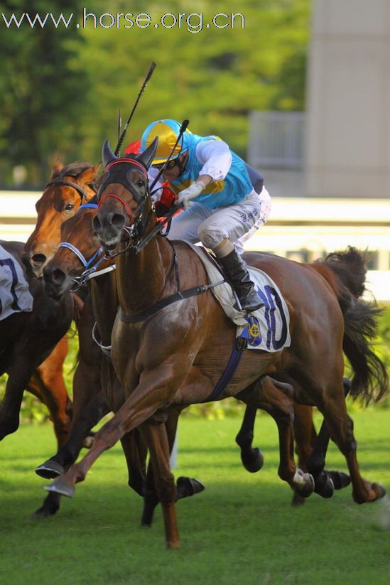 2008/09馬季季終賽馬日圖輯