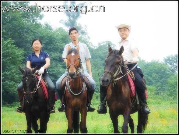 周末国色天香露营地玩耍