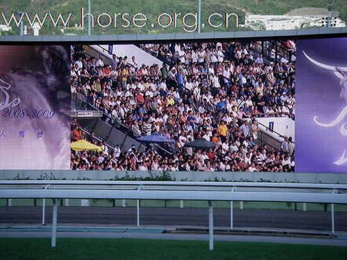 2008/09馬季季終賽馬日圖輯