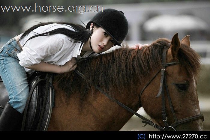 [贴图]骏马 美女 帅哥及马文化
