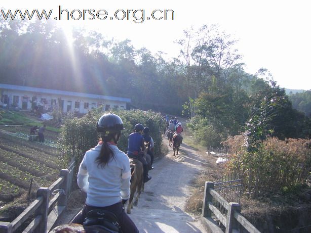 12月26日 Boxing Day 東莞清溪大皇山野騎之旅