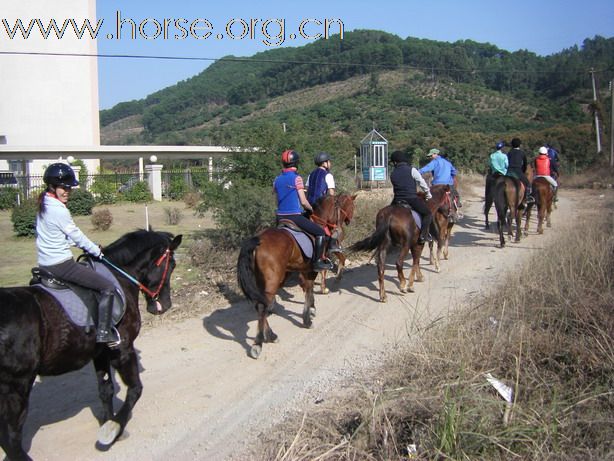 12月26日 Boxing Day 東莞清溪大皇山野騎之旅
