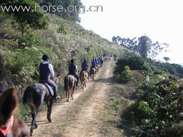 12月26日 Boxing Day 東莞清溪大皇山野騎之旅