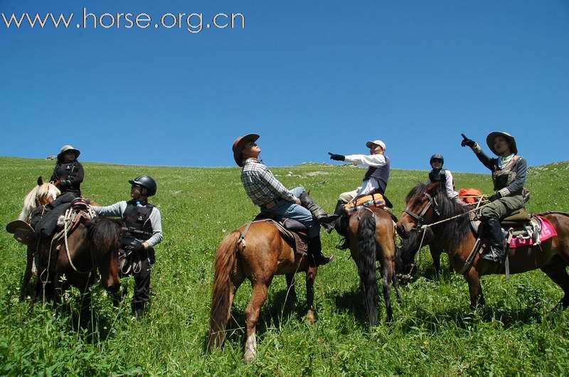 2010新疆喀纳斯骑马探险团招募中