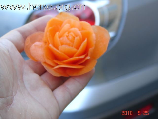 准备开始当义工