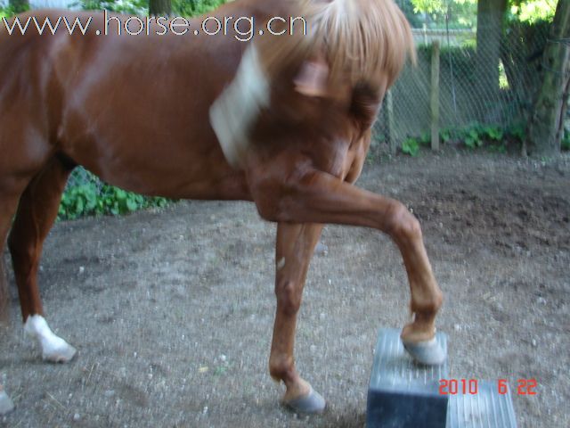 准备开始当义工