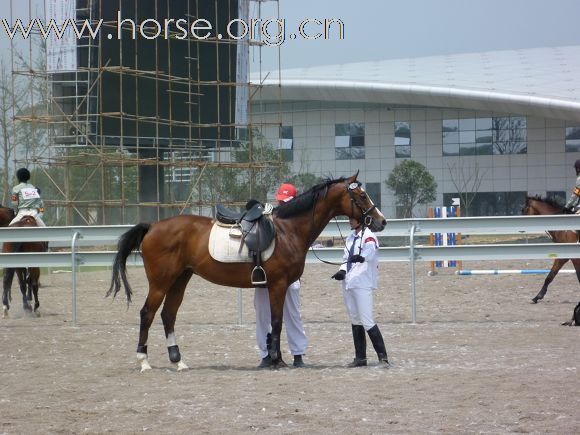 2010全国五项马术锦标赛暨青年组赛