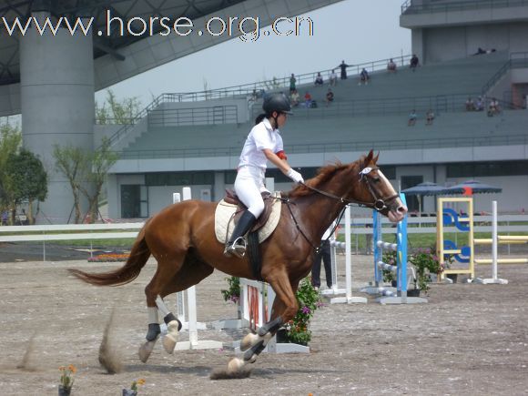 2010全国五项马术锦标赛暨青年组赛