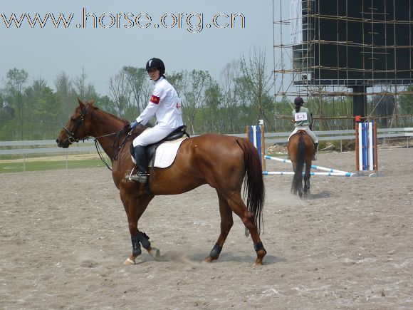 2010全国五项马术锦标赛暨青年组赛