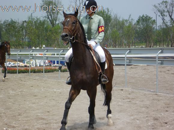 2010全国五项马术锦标赛暨青年组赛