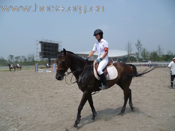 2010全国五项马术锦标赛暨青年组赛