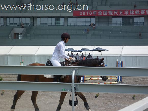 2010全国五项马术锦标赛暨青年组赛