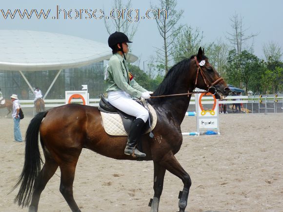 2010全国五项马术锦标赛暨青年组赛