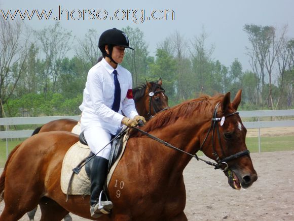 2010全国五项马术锦标赛暨青年组赛