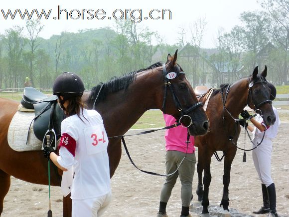 2010全国五项马术锦标赛暨青年组赛