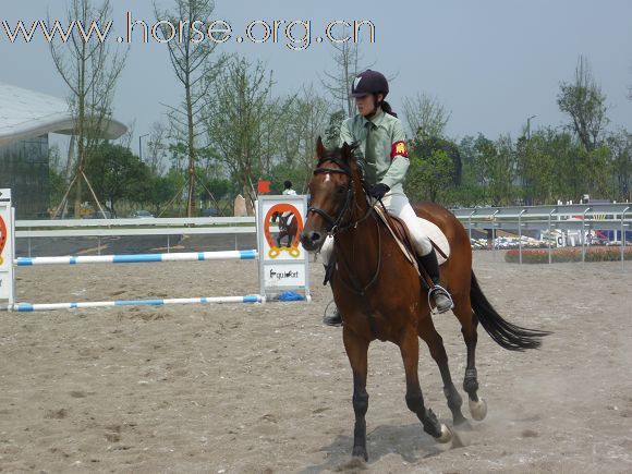 2010全国五项马术锦标赛暨青年组赛