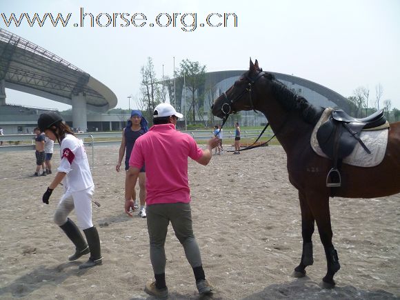 2010全国五项马术锦标赛暨青年组赛