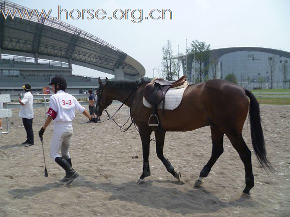 2010全国五项马术锦标赛暨青年组赛
