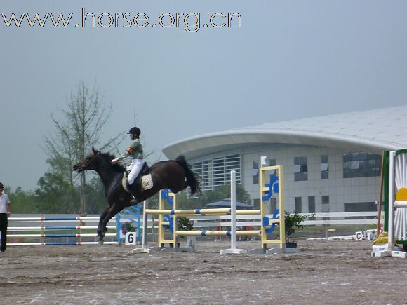 2010全国五项马术锦标赛暨青年组赛