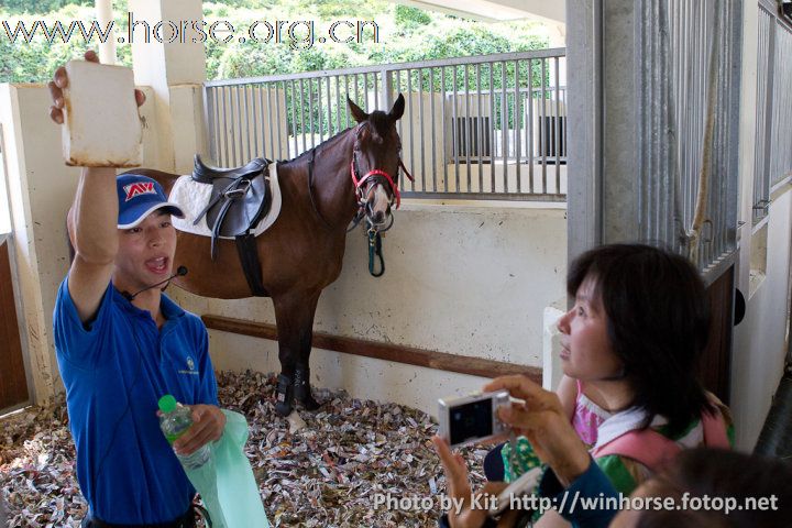 香港賽馬會屯門公眾騎術學校開放日與眾同樂(圖片補充)