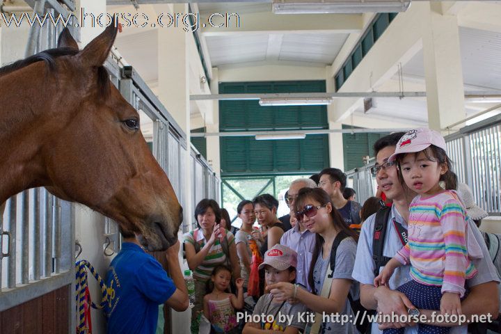 香港賽馬會屯門公眾騎術學校開放日與眾同樂(圖片補充)