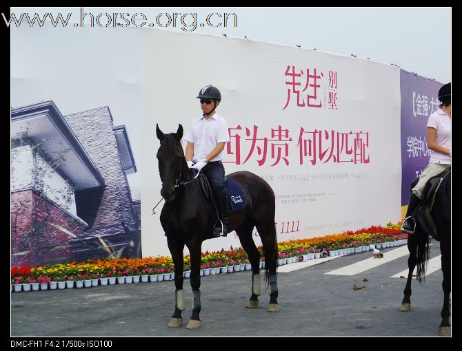 2010首届金马马术体育文化旅游节