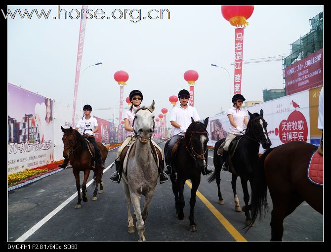 2010首届金马马术体育文化旅游节