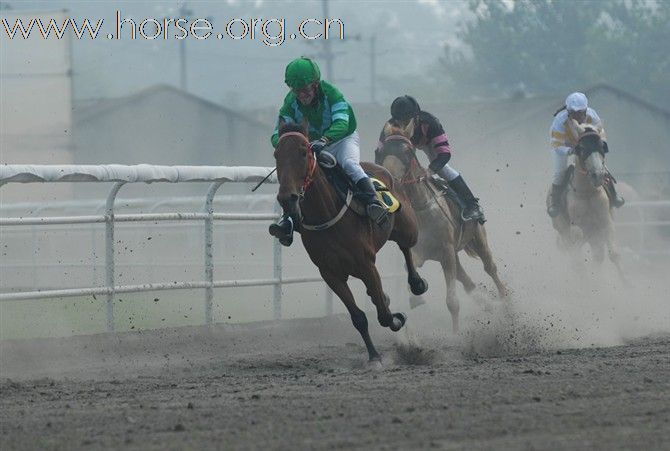 2010首届金马马术体育文化旅游节