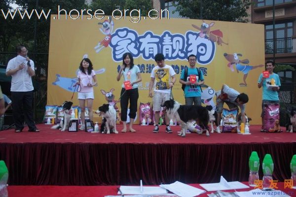 [推荐]精英骑士会（深圳观澜）