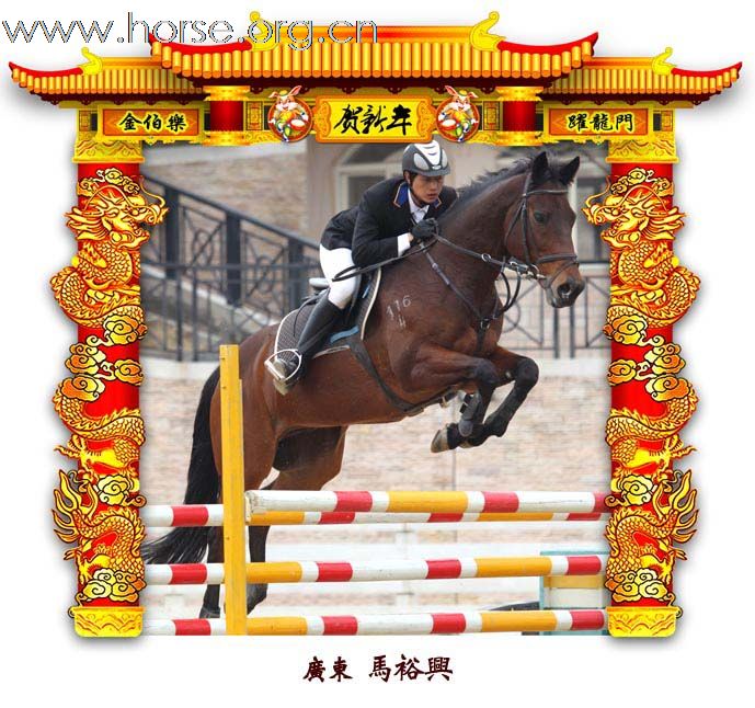 晓光手记：元月22日 金伯乐迎春马术大戏逐个睇(一)
