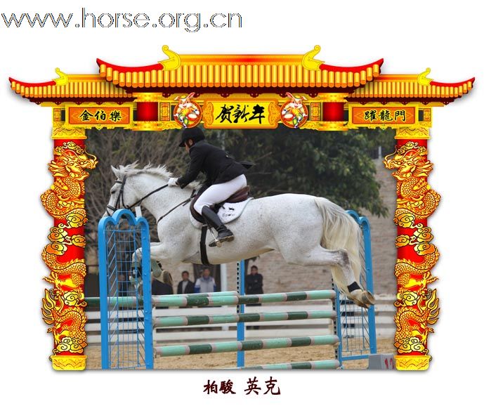 晓光手记：元月22日 金伯乐迎春马术大戏逐个睇(一)