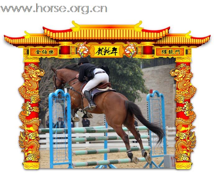 晓光手记：元月22日 金伯乐迎春马术大戏逐个睇(一)