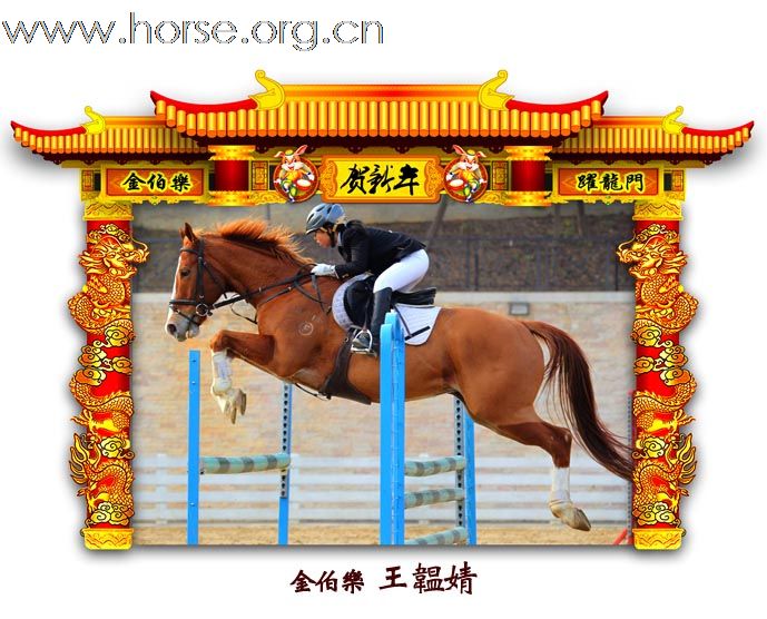 晓光手记：元月22日 金伯乐迎春马术大戏逐个睇 105-110 级别(二)