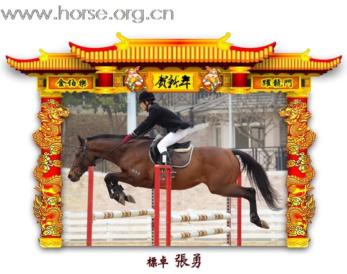 晓光手记：元月22日 金伯乐迎春马术大戏逐个睇 105-110 级别(二)